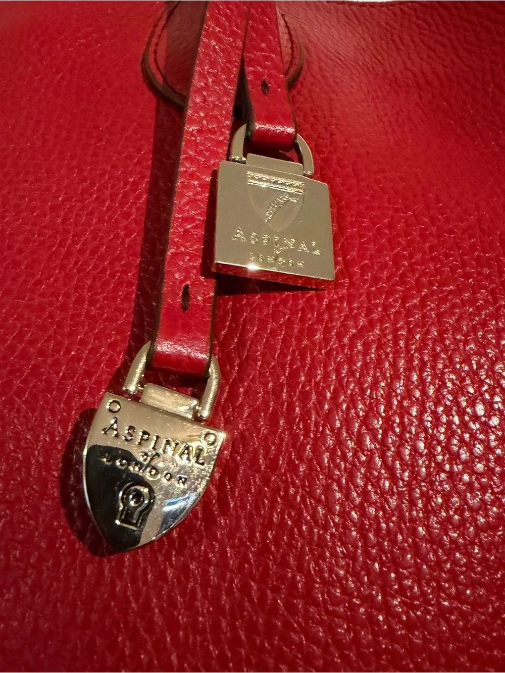 Red Leather Tote with Gold Accent - Women's Everyday Tote